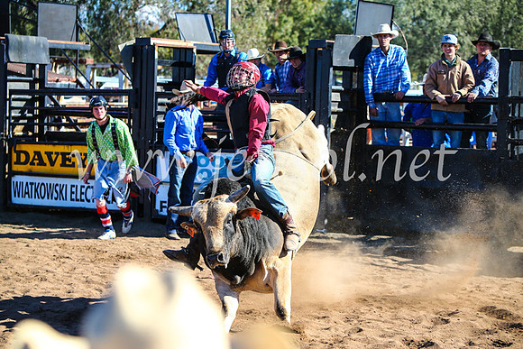 CoonambleRodeoCampdraftMon_7814