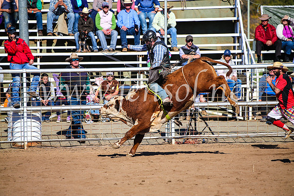 CoonambleRodeoCampdraftMon_7070