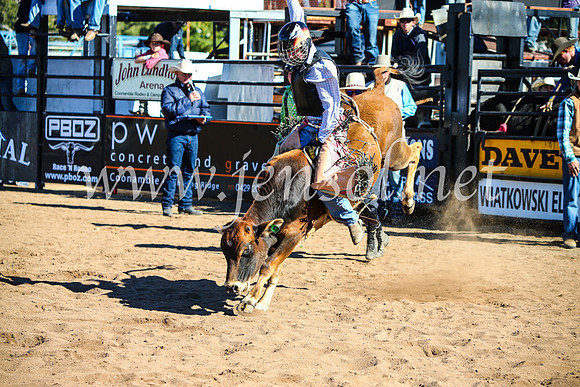 CoonambleRodeoCampdraftMon_7300