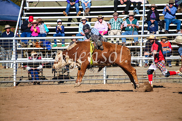 CoonambleRodeoCampdraftMon_7080