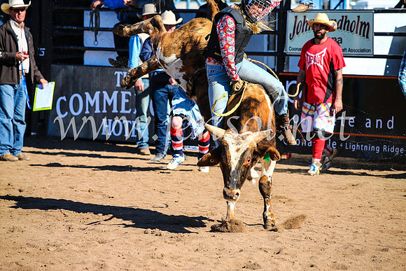 CoonambleRodeoCampdraftMon_7135