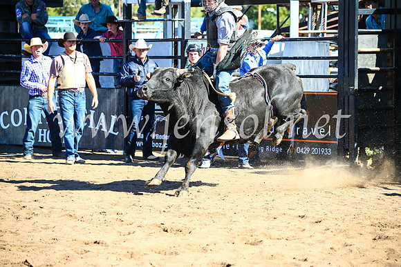 CoonambleRodeoCampdraftMon_7403