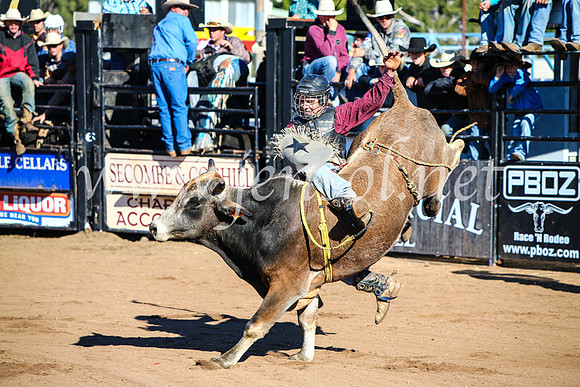 CoonambleRodeoCampdraftMon_6386