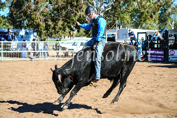 CoonambleRodeoCampdraftMon_7835