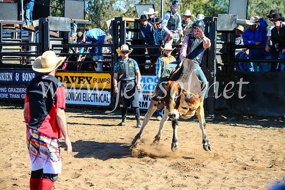 CoonambleRodeoCampdraftMon_7256