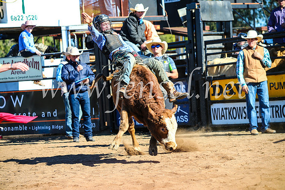 CoonambleRodeoCampdraftMon_6915