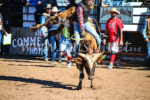 CoonambleRodeoCampdraftMon_7137