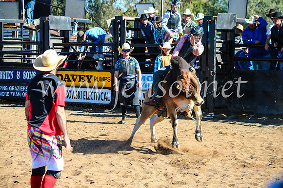 CoonambleRodeoCampdraftMon_7255