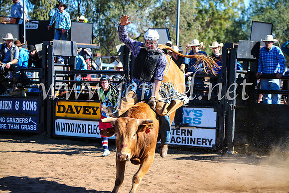 CoonambleRodeoCampdraftMon_7467