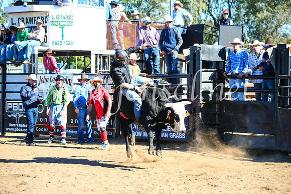 CoonambleRodeoCampdraftMon_7320
