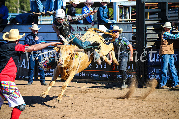 CoonambleRodeoCampdraftMon_6948