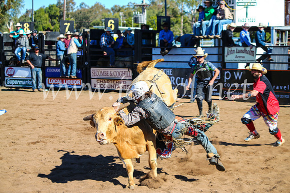 CoonambleRodeoCampdraftMon_6950