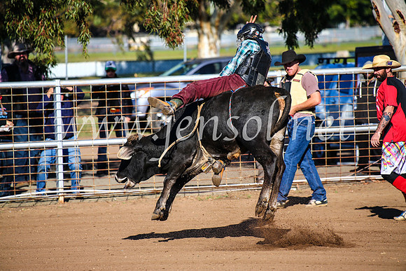 CoonambleRodeoCampdraftMon_6276