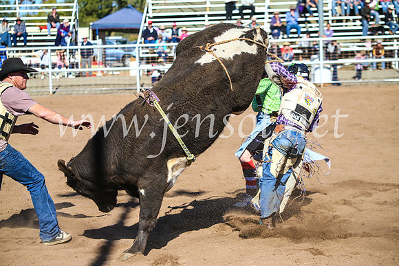 CoonambleRodeoCampdraftMon_7218