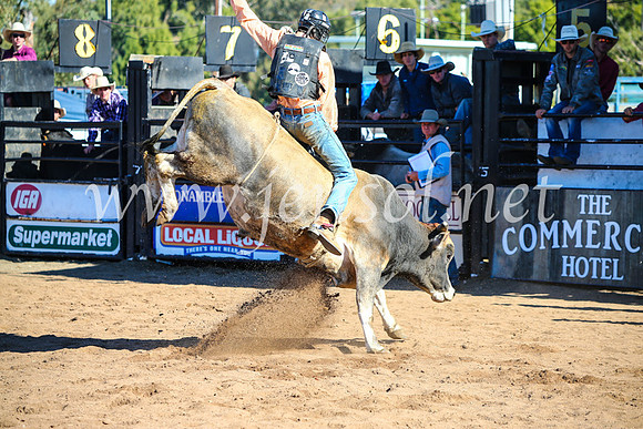 CoonambleRodeoCampdraftMon_7436