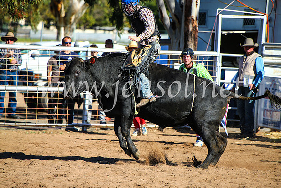 CoonambleRodeoCampdraftMon_7927