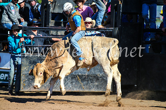 CoonambleRodeoCampdraftMon_6981