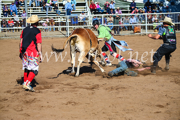 CoonambleRodeoCampdraftMon_7280