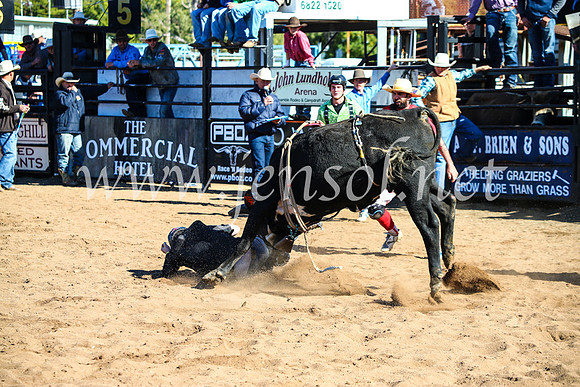 CoonambleRodeoCampdraftMon_7325