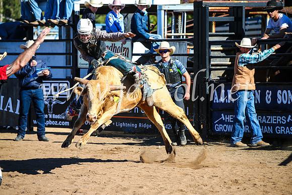 CoonambleRodeoCampdraftMon_6946