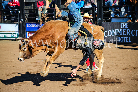 CoonambleRodeoCampdraftMon_6431