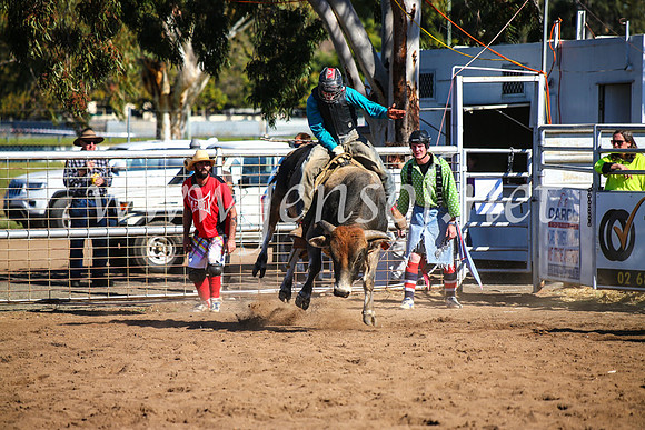 CoonambleRodeoCampdraftMon_7889