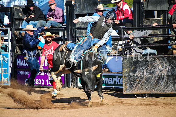 CoonambleRodeoCampdraftMon_6457