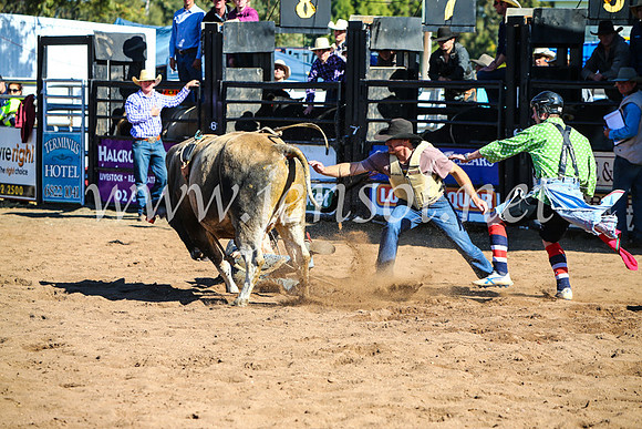 CoonambleRodeoCampdraftMon_7437