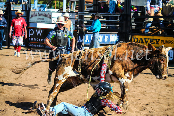 CoonambleRodeoCampdraftMon_7145