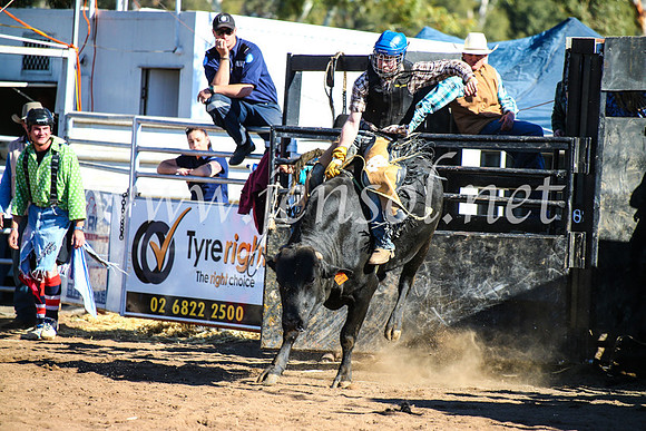 CoonambleRodeoCampdraftMon_7905