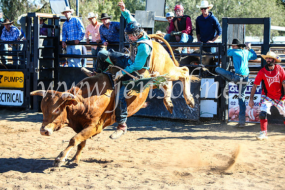 CoonambleRodeoCampdraftMon_7794