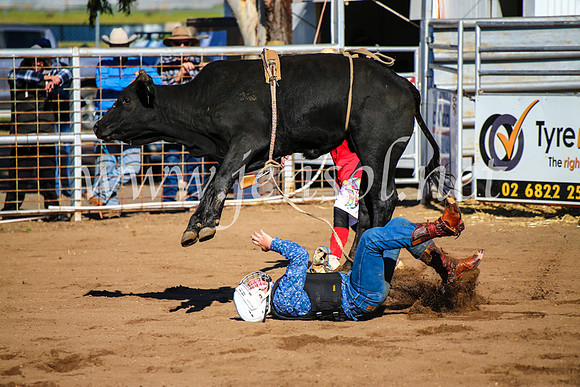 CoonambleRodeoCampdraftMon_6485