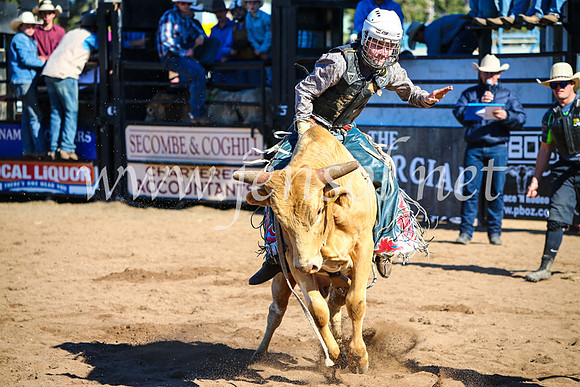 CoonambleRodeoCampdraftMon_6954