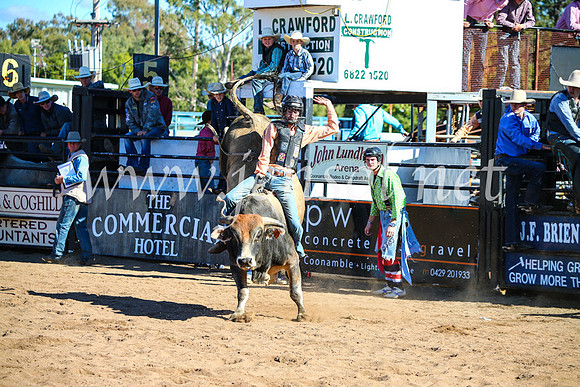 CoonambleRodeoCampdraftMon_7426