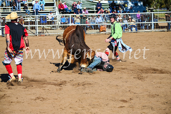CoonambleRodeoCampdraftMon_7268