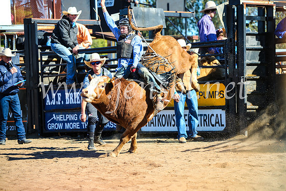 CoonambleRodeoCampdraftMon_6919