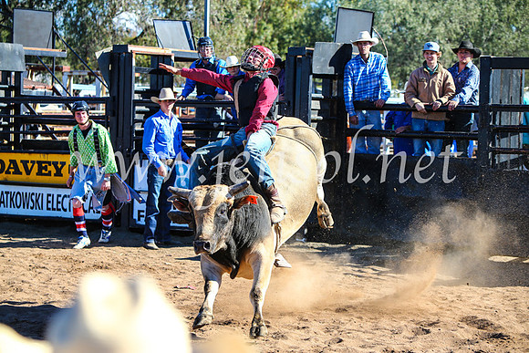 CoonambleRodeoCampdraftMon_7817