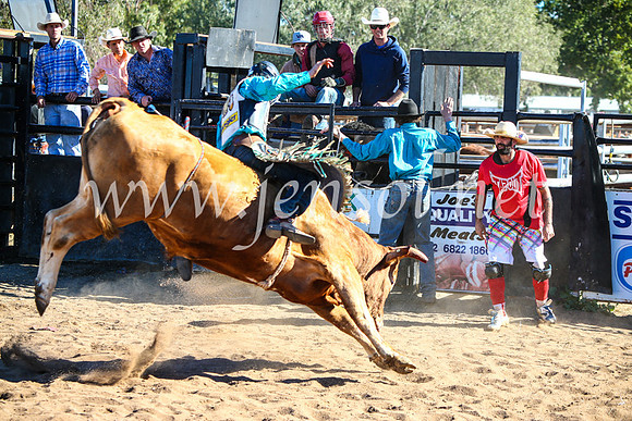 CoonambleRodeoCampdraftMon_7772