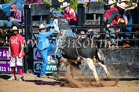 CoonambleRodeoCampdraftMon_6453