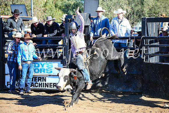 CoonambleRodeoCampdraftMon_6407