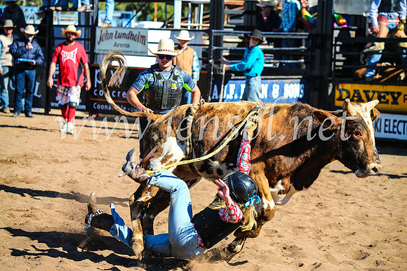 CoonambleRodeoCampdraftMon_7138