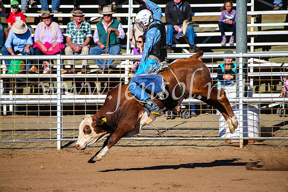 CoonambleRodeoCampdraftMon_6516