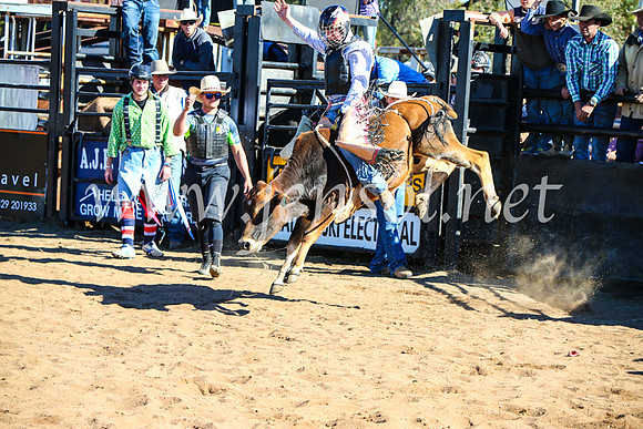 CoonambleRodeoCampdraftMon_7288