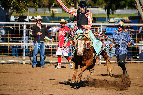 CoonambleRodeoCampdraftMon_6560