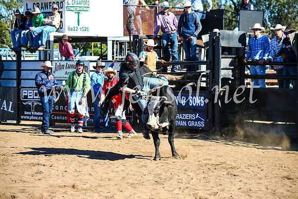 CoonambleRodeoCampdraftMon_7318