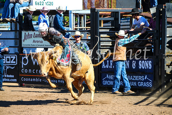 CoonambleRodeoCampdraftMon_6944