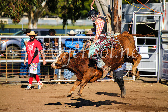 CoonambleRodeoCampdraftMon_6535