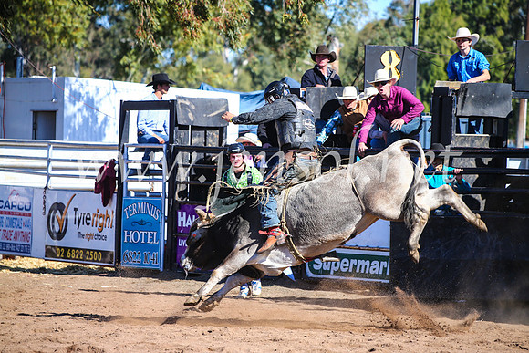 CoonambleRodeoCampdraftMon_7536
