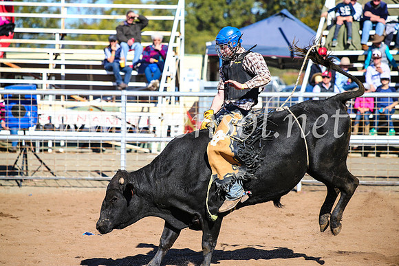 CoonambleRodeoCampdraftMon_7937
