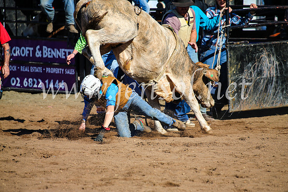 CoonambleRodeoCampdraftMon_7028